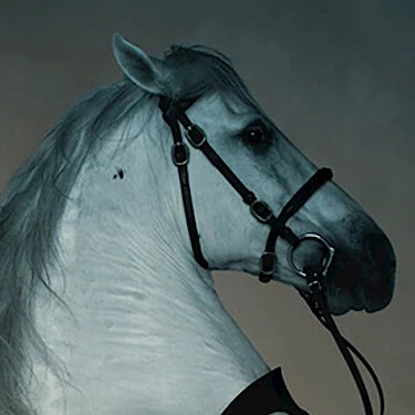 Ungeheuerlich erzhlen!